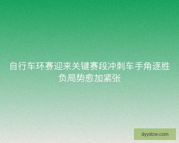 自行车环赛迎来关键赛段冲刺车手角逐胜负局势愈加紧张